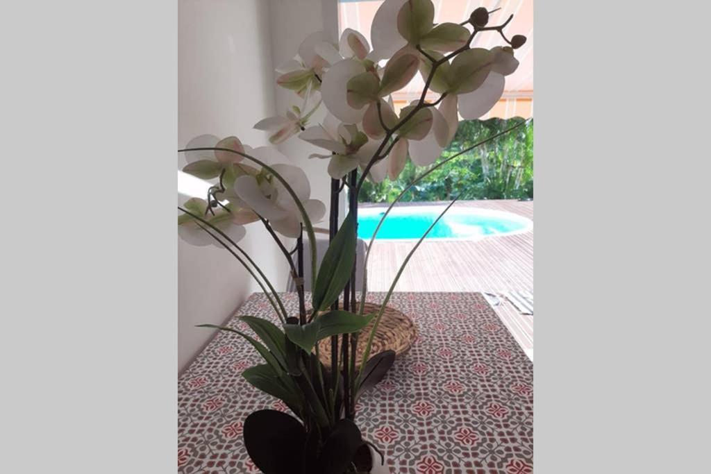プティ・ブールLes Orchideesアパートメント エクステリア 写真